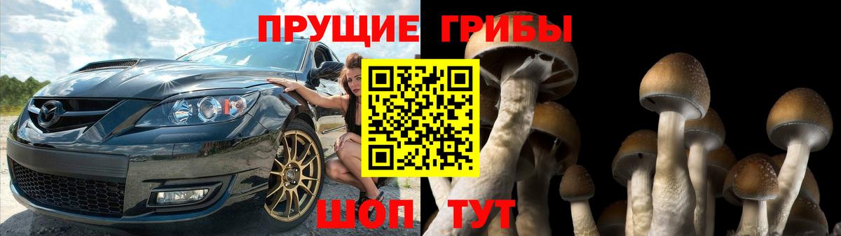 Псилоцибиновые грибы Psilocybine cubensis Муром