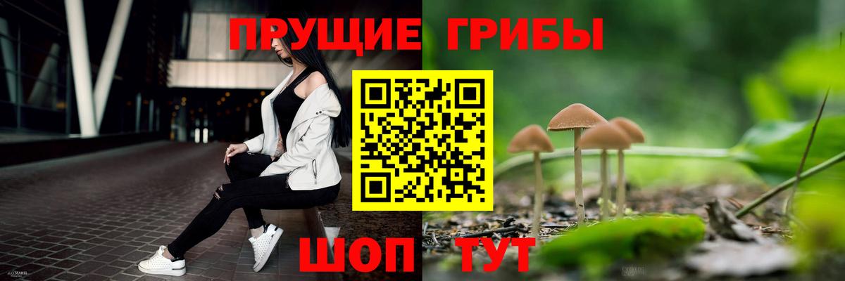 Псилоцибиновые грибы ЛСД  Вход с VPN  Муром 